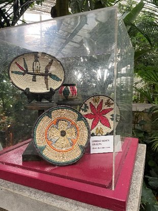 Plant at Phipps